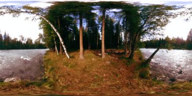 Vahşi bir ormanın 360 VR sanal gerçekliği. Çam ormanı, küçük, hızlı, soğuk dağ nehri. Ulusal park.