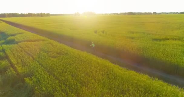 Vue aérienne sur le jeune garçon, qui monte à vélo à travers un champ d'herbe de blé sur la vieille route rurale. Lumière du soleil et rayons. — Video