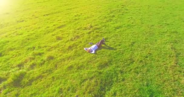 Low orbital flight around man on green grass with notebook pad at yellow rural field. — Stock Video