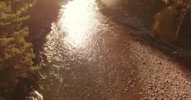 Vol à basse altitude au-dessus d'une rivière de montagne fraîche et rapide avec des rochers au soleil matin d'été. — Video