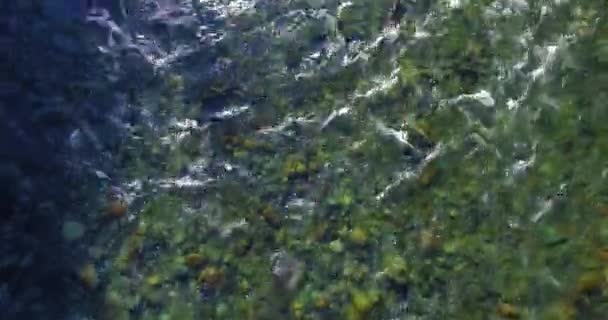 Vuelo de baja altitud sobre el río fresco de montaña rápida con rocas en la soleada mañana de verano. — Vídeo de stock