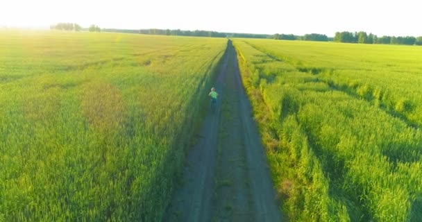 Veduta aerea sul ragazzo, che cavalca una bicicletta attraverso un campo di erba di grano sulla vecchia strada rurale. Luce solare e raggi. — Video Stock