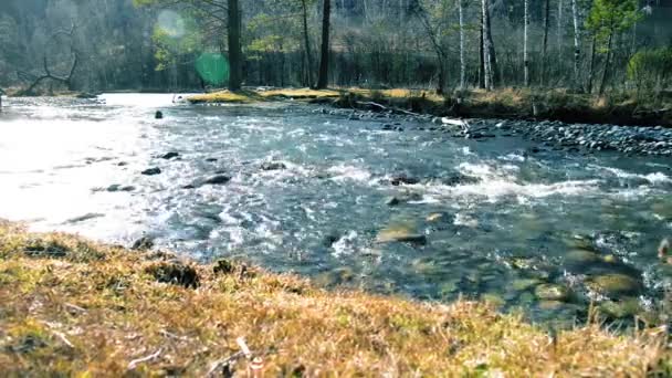 Dolly deslizador de tiro de las salpicaduras de agua en un río de montaña cerca del bosque. Rocas húmedas y rayos de sol. Movimiento horizontal constante. — Vídeo de stock