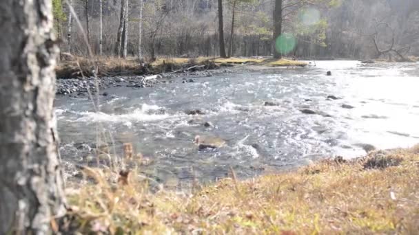 森の近くの山の川で水しぶきのドリースライダーショット。ぬれた岩や太陽の光線。水平安定した動き。生の平色. — ストック動画