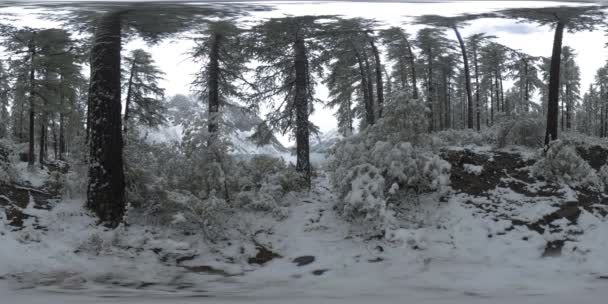 Lago di montagna 360 vr al momento invernale. Natura selvaggia e valle del monte. Bosco verde di pini e nuvole veloci sul cielo . — Video Stock