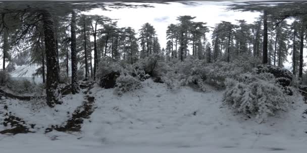 Lago di montagna 360 vr al momento invernale. Natura selvaggia e valle del monte. Bosco verde di pini e nuvole veloci sul cielo . — Video Stock