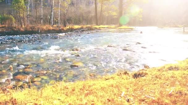 Dolly slider colpo di spruzzi d'acqua in un fiume di montagna vicino foresta. Rocce umide e raggi solari. Movimento orizzontale costante. — Video Stock
