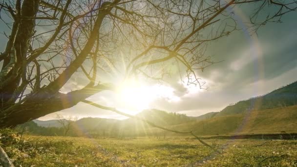 Time lapse of death tree and dry yellow grass at mountian landscape with clouds and sun rays. Movimiento deslizante horizontal — Vídeos de Stock