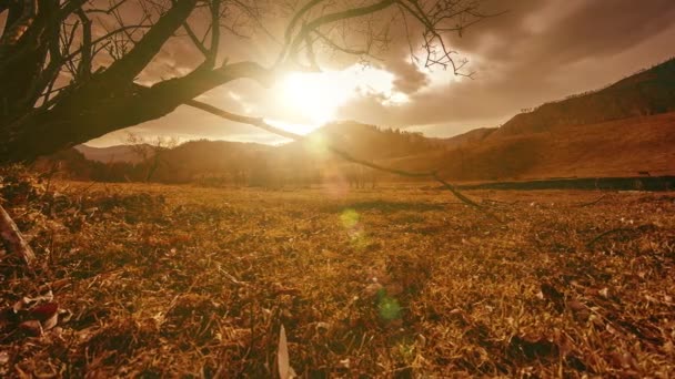 Lapso de tempo da árvore da morte e grama amarela seca na paisagem montanhosa com nuvens e raios de sol. Movimento deslizante horizontal — Vídeo de Stock