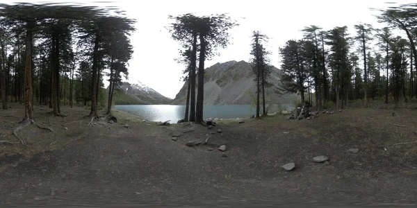 Mountain lake 360 vr at the summer or autumn time. Wild nature and rural mount valley. Green forest of pine trees and fast clouds on sky. — Stock Photo, Image