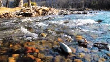 Dolly ormanın yakınındaki bir dağ nehrinde akan suyun kaygan görüntüsü. Islak kayalar ve güneş ışınları. Yatay sabit hareket.