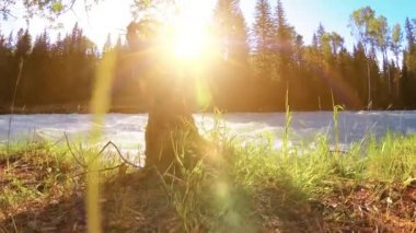 Dağ nehri kıyısındaki çayır. Yeşil çimlerle, çam ağaçlarıyla ve güneş ışınlarıyla kaplı bir manzara. Motorlu kaydırma kulesinde hareket.