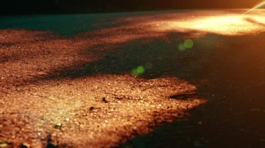 Asfalt yolda koşan sporcu. Kırsal şehir parkı. Yeşil ağaç ormanı ve ufukta güneş ışığı.