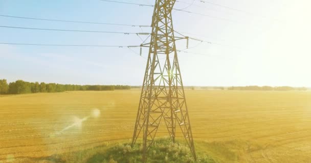 Verticale bewegingsvlucht in de buurt van hoogspanningstoren en hoogspanningsleidingen op groen en geel veld — Stockvideo