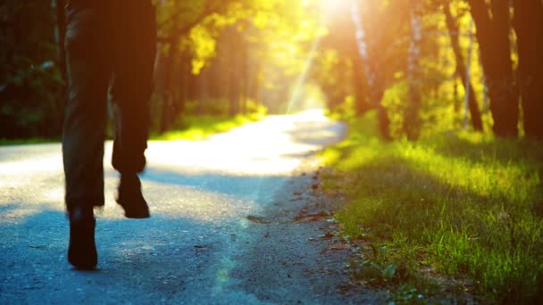 Deportivo corriendo en la carretera de asfalto. Parque rural de la ciudad. Bosque de árboles verdes y rayos de sol en el horizonte. — Vídeo de stock