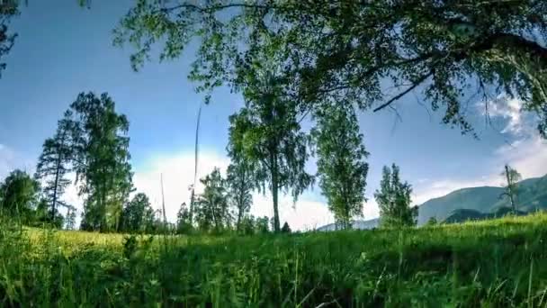 Tempo sul prato di montagna in estate o in autunno. Natura selvaggia e campo rurale. Movimento a carrello scorrevole motorizzato . — Video Stock