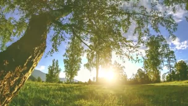 Mountain meadow time-lapse at the summer or autumn time. Wild nature and rural field. Motorised slider dolly movement. — Stock Video