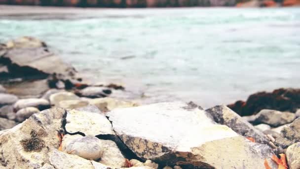 Dolly slider shot of the splashing water in a mountain river near forest. Wet rocks and sun rays. Horizontal steady movement. — Stock Video