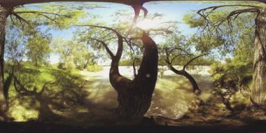 UHD 4K 360 VR Bir nehrin Sanal Gerçekliği güzel dağ ormanlarında kayaların üzerinden akıyor
