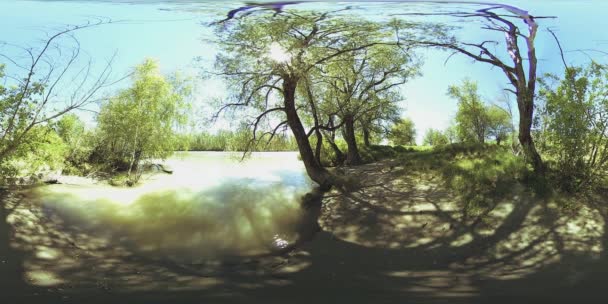 UHD 4K 360 VR La realtà virtuale di un fiume scorre sulle rocce in un bellissimo paesaggio forestale di montagna — Video Stock