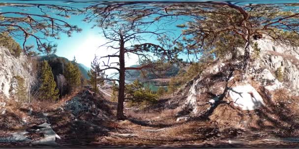 VR of a mountain scene at the autumn sunny time. Wild mountains, pine tree and huge rocks. — Stock Footage VR of a mountain scene at the autumn sunny time. Wild mountains, pine tree and huge rocks. Stock Video