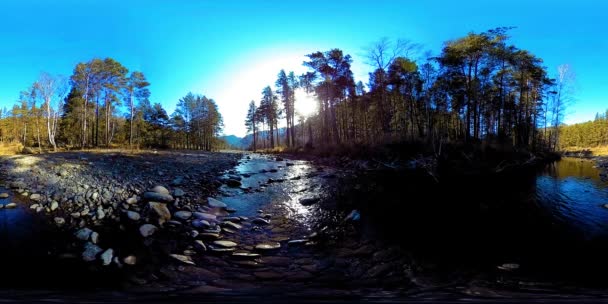 360 VR réalité virtuelle d'une montagne sauvage, pinède et rivière coule. Parc national, prairie et rayons du soleil. — Video