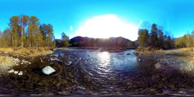 Vahşi dağların, çam ormanlarının ve nehir akışlarının 360 VR sanal gerçekliği. Ulusal park, çayır ve güneş ışınları.