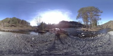 Vahşi dağların, çam ormanlarının ve nehir akışlarının 360 VR sanal gerçekliği. Ulusal park, çayır ve güneş ışınları.