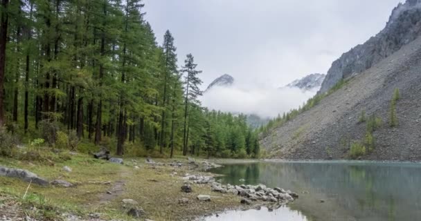 Górskie jezioro timelapse w okresie letnim lub jesiennym. Dzika przyroda i wiejska dolina. Zielony las sosen i szybkie chmury na niebie. Ruch suwaka wózka silnikowego — Wideo stockowe