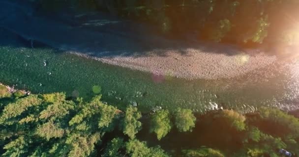 Laaggelegen vlucht over verse snelle bergrivier met rotsen op zonnige zomerochtend. — Stockvideo