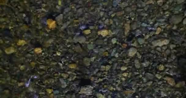 Low altitude flight over fresh fast mountain river with rocks at sunny summer morning. — Stock Video