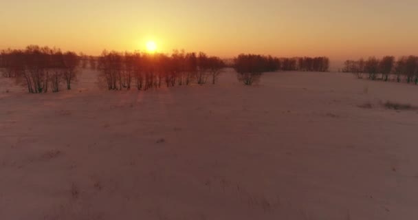 北極のフィールドと寒い冬の風景の空中ドローンビュー、水平線上に霜雪と朝の太陽光線で覆われた木. — ストック動画