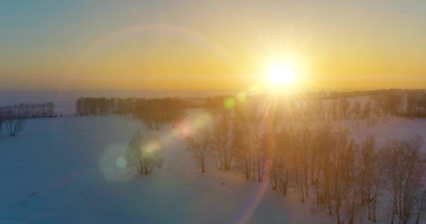 Vue aérienne par drone du paysage hivernal froid avec champ arctique, arbres couverts de neige verglaçante et rayons du soleil matinaux au-dessus de l'horizon. — Video