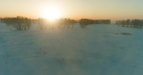 Luchtfoto drone uitzicht op koud winterlandschap met poolveld, bomen bedekt met vorst sneeuw en ochtendzon stralen over horizon. — Stockvideo