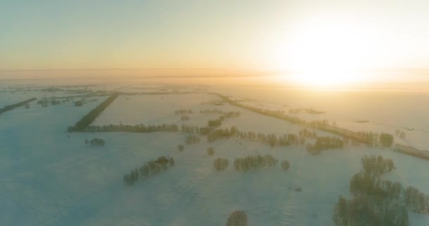 Drohnenaufnahme der kalten Winterlandschaft mit arktischem Feld, Bäumen mit Frostschnee und Morgensonnenstrahlen über dem Horizont. — Stockvideo