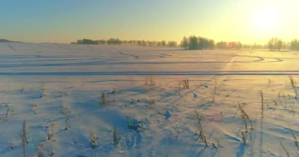 Aerial drone view of cold winter landscape with arctic field, trees covered with frost snow and morning sun rays over horizon. — Stock Video