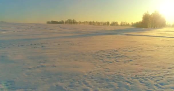 Vista aérea de drones del frío paisaje invernal con campo ártico, árboles cubiertos de nieve helada y rayos de sol matutinos sobre el horizonte. — Vídeos de Stock