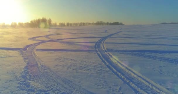 Vista aérea de drones del frío paisaje invernal con campo ártico, árboles cubiertos de nieve helada y rayos de sol matutinos sobre el horizonte. — Vídeo de stock