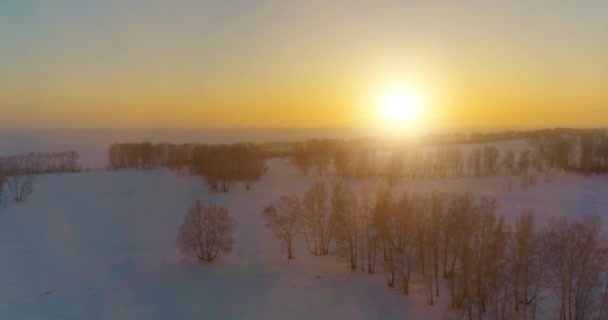 Drohnenaufnahme der kalten Winterlandschaft mit arktischem Feld, Bäumen mit Frostschnee und Morgensonnenstrahlen über dem Horizont. — Stockvideo