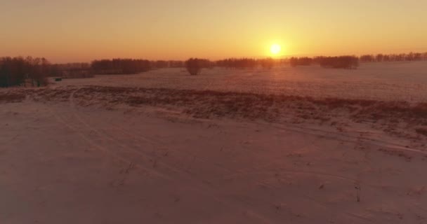 Flygdrönare syn på kallt vinterlandskap med arktiska fält, träd täckta med frost snö och morgonsol strålar över horisonten. — Stockvideo