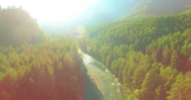 Güneşli yaz sabahında kayalarla birlikte taze, hızlı dağ nehri üzerinde alçak irtifa uçuşu..