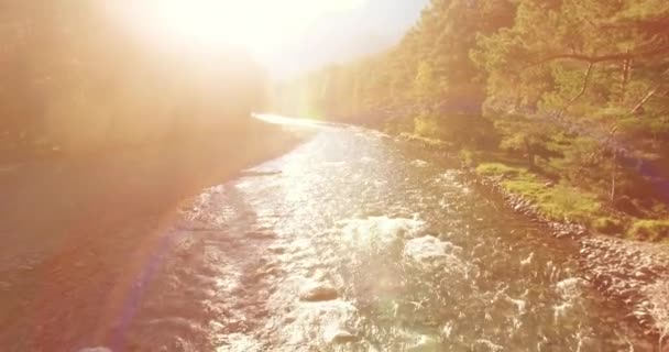 Vol à basse altitude au-dessus d'une rivière de montagne fraîche et rapide avec des rochers au soleil matin d'été. — Video