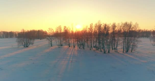 Flygdrönare syn på kallt vinterlandskap med arktiska fält, träd täckta med frost snö och morgonsol strålar över horisonten. — Stockvideo