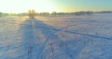 Arktik çayırlı soğuk kış manzarası, karla kaplı ağaçlar ve ufukta sabah güneşleri..