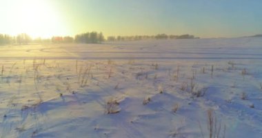 Arktik çayırlı soğuk kış manzarası, karla kaplı ağaçlar ve ufukta sabah güneşleri..