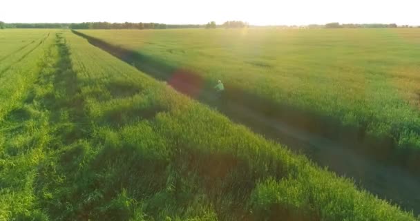 Vista aérea sobre o menino, que monta uma bicicleta através de um campo de grama de trigo na antiga estrada rural. Luz solar e vigas. — Vídeo de Stock