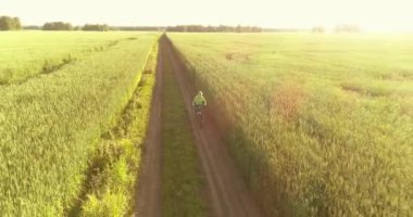 Kırsal yoldaki bir çim tarlasında bisiklet süren genç bir çocuğun hava manzarası. Güneş ışığı ve ışınlar.