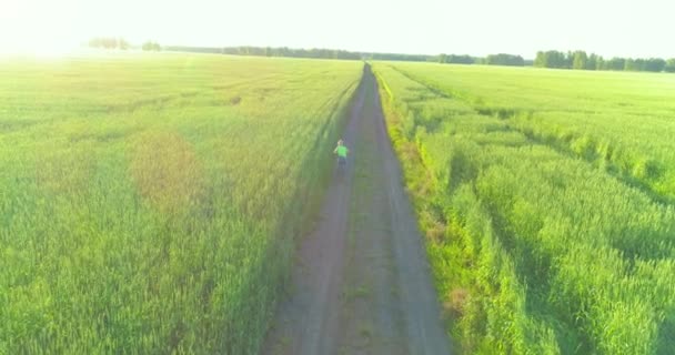 Vue aérienne sur le jeune garçon, qui monte à vélo à travers un champ d'herbe de blé sur la vieille route rurale. Lumière du soleil et rayons. — Video