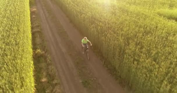 Flygfoto på ung pojke, som rider en cykel genom ett vete gräs fält på den gamla landsvägen. Solljus och strålar. — Stockvideo