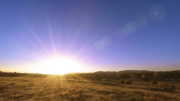 4K UHD山の牧草地は夏にタイムラプスします。雲、木、緑の草、太陽光線の動き. — ストック動画